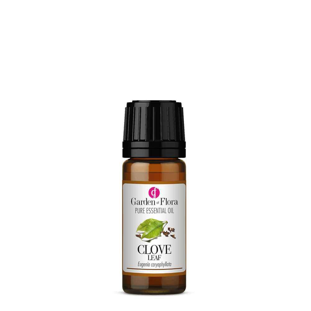 Clove Leaf Pure Essential Oil (10ml)