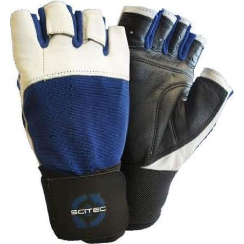 Blue Power Gloves - Large