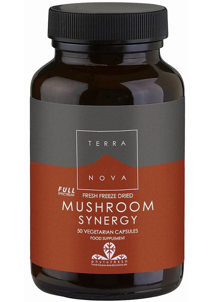 Terranova Mushroom Synergy
