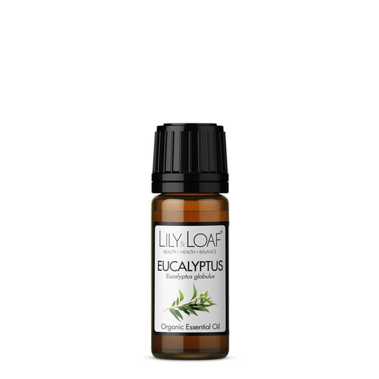 Eucalyptus Organic Essential Oil (10ml)
