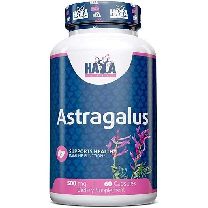 Astragalus, 500mg - 60 caps