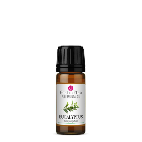 Eucalyptus Pure Essential Oil (10ml)
