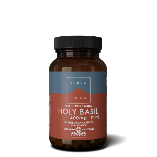 Terranova Holy Basil 400mg, 50 Capsules