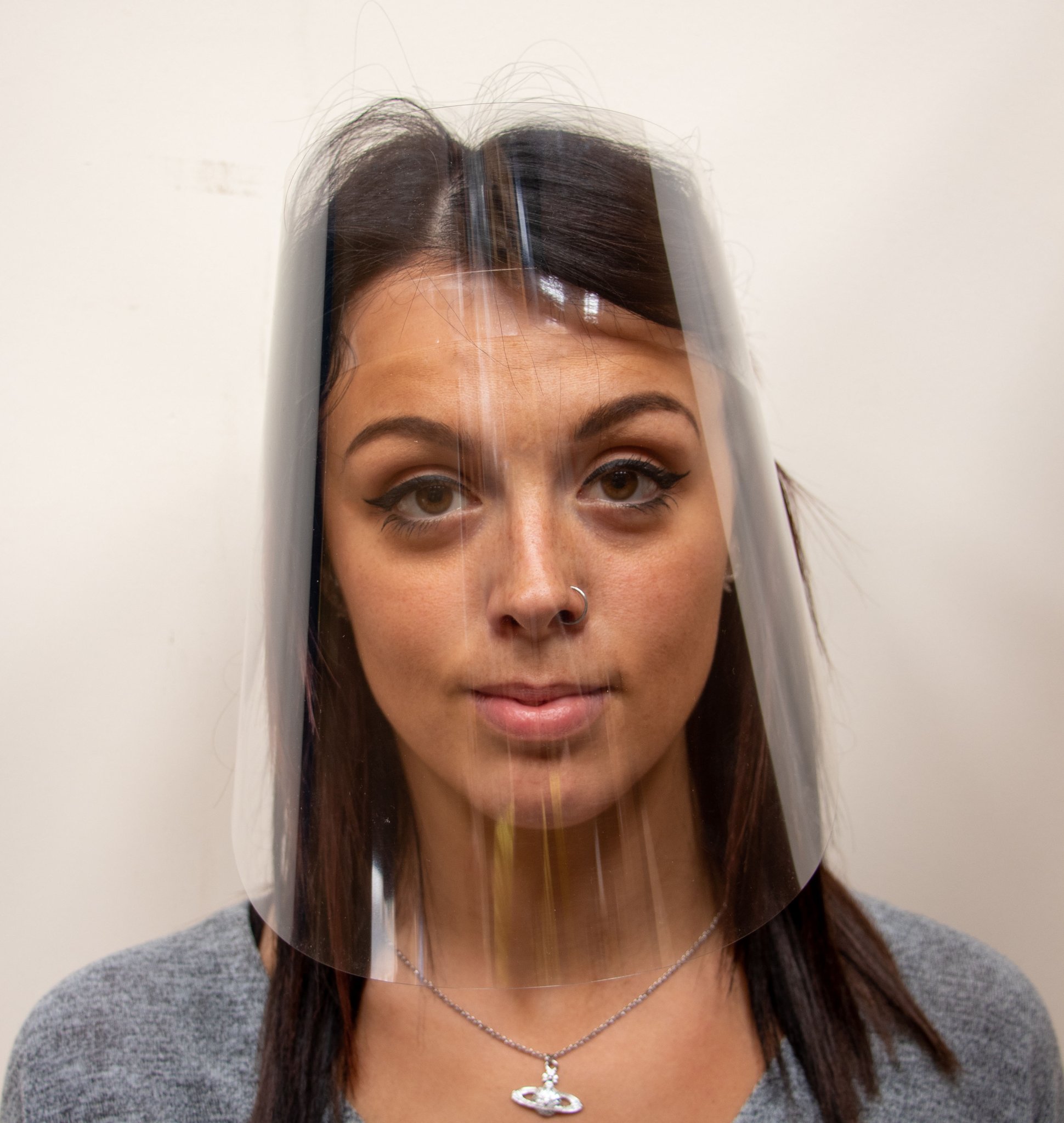 Face Shield (Single)