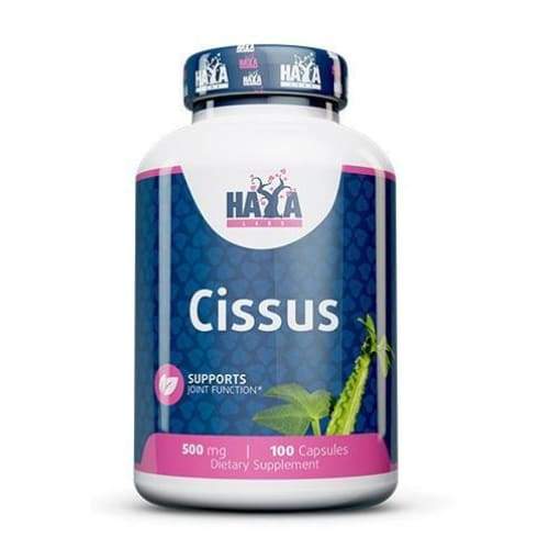 Cissus, 500mg - 100 caps