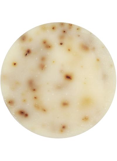 Trevarno Sea Kelp Lime & Bay Soap