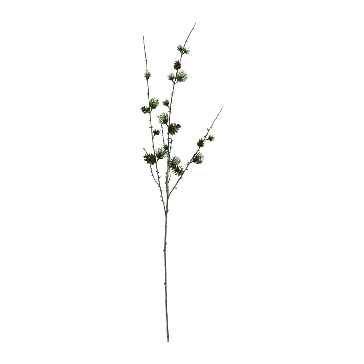 House Doctor - Branch Larch With Cornes - Natur (261390003/261390003)