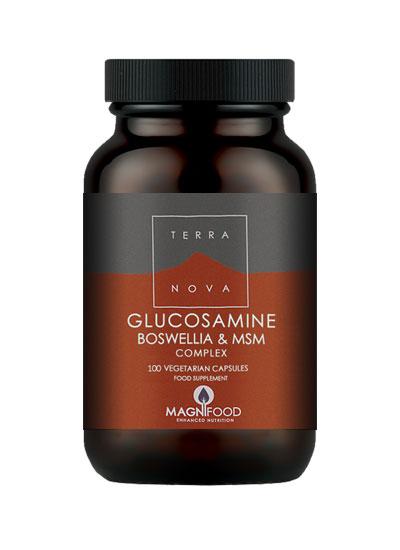 Terranova Glucosamine Boswellia & MSM Joint Complex