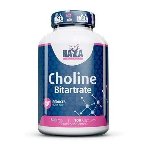 Choline Bitartrate, 500mg - 100 caps