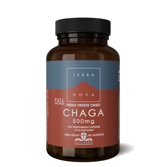 Terranova Chaga 500mg, 100 VCapsules